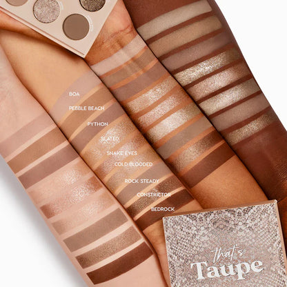 Colourpop paleta de sombras that's taupe